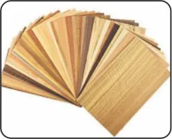 Veneer
